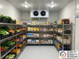 Cold Storage Chiller: Solusi Cerdas Menjaga Kualitas Bahan Makanan untuk Bisnis HoReCa Modern
